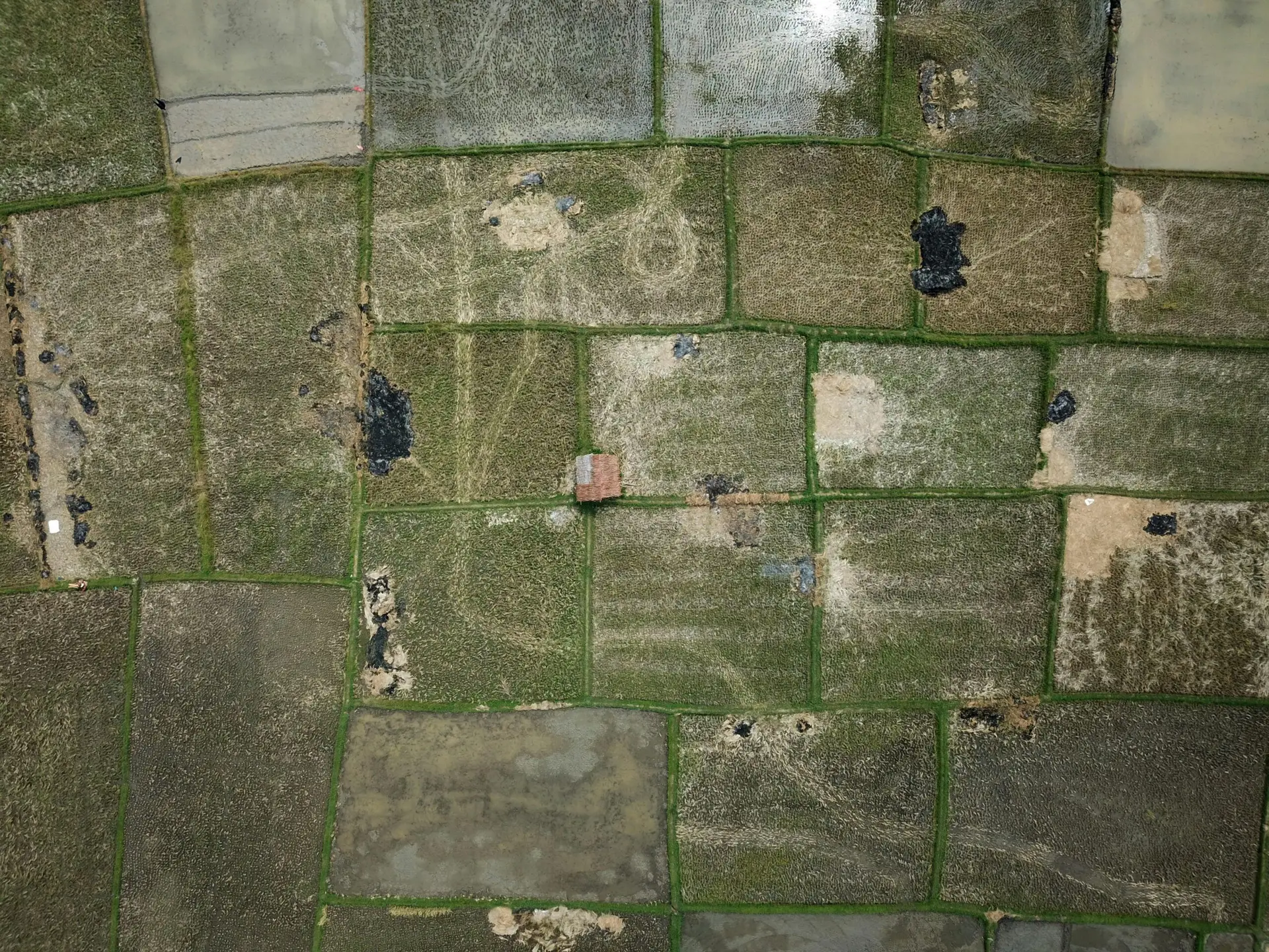 land development site domain